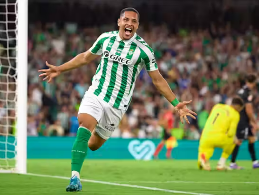 Palmeiras